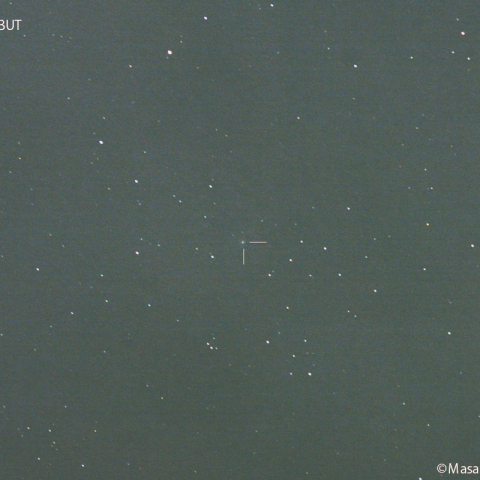 420mmによるオルバース彗星 (13P)：2024/04/12