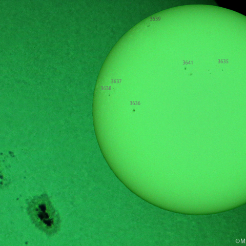 活動領域 3634：2024/04/15