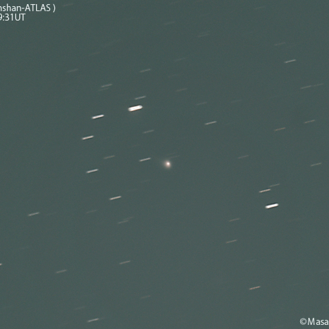 紫金山-アトラス彗星( C/2023 A3 )：2024/04/09