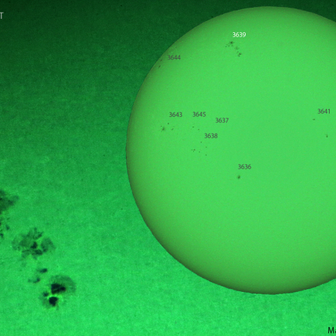 活動領域 3639：2024/04/17