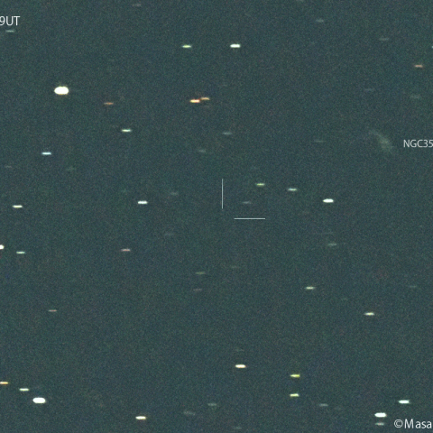 ニート彗星( 207P )：2024/04/25