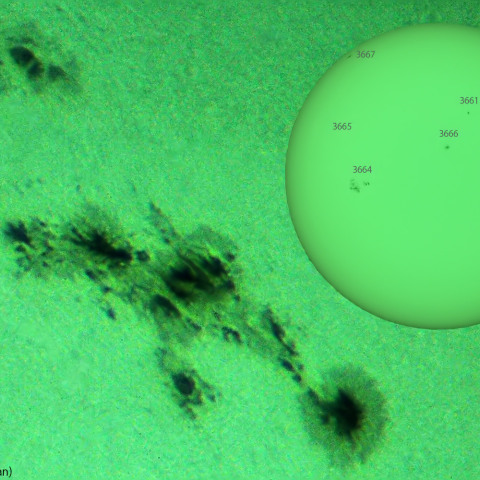 活動領域3663：2024/05/05