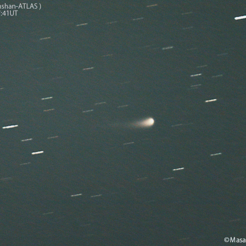 紫金山-アトラス彗星( C/2023A3 )：2024/05/03