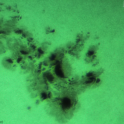 活動領域3664：2024/05/10