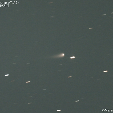 紫金山-アトラス彗星( C/2023A3 )：2024/05/09