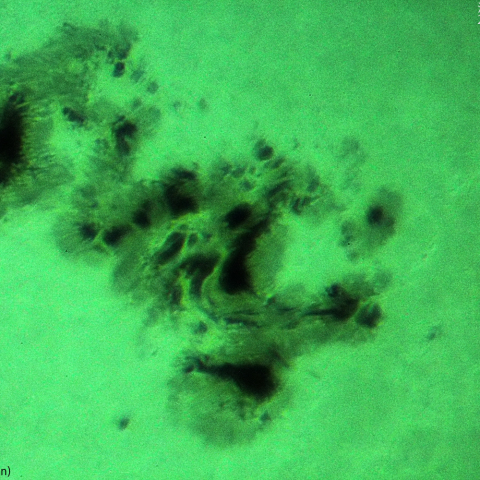 活動領域3664：2024/05/11