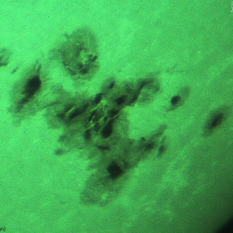 活動領域3664：2024/05/12