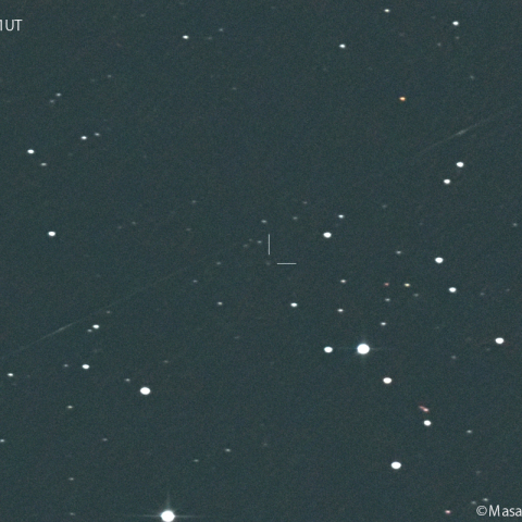 ガン彗星(65P):2024/05/03