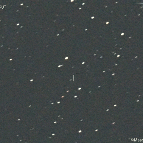 フォーブズ彗星 ( 37P ) :2024/05/03