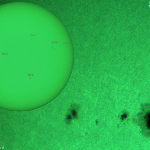 活動領域 3679：2024/05/15