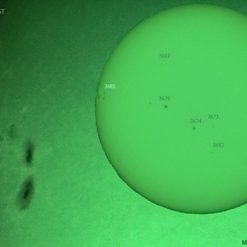 活動領域 3685：2024/05/17