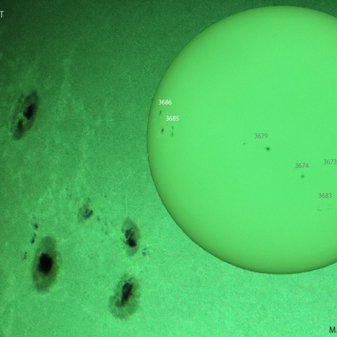 活動領域 3685,3686：2024/05/18