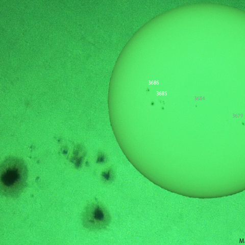 活動領域 3685,3686：2024/05/20