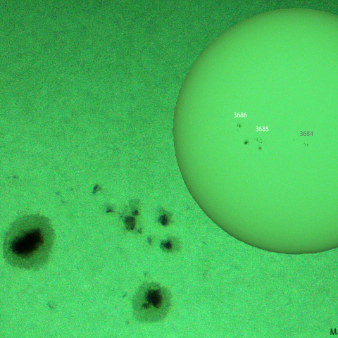 活動領域 3685,3686：2024/05/21