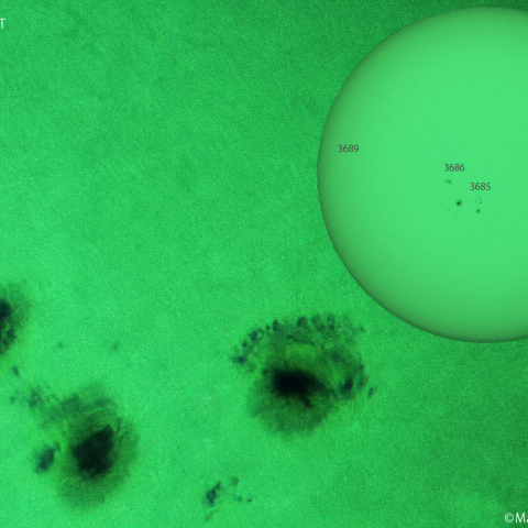 活動領域 3679：2024/05/22