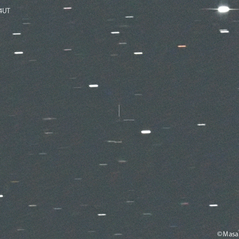 ニート彗星( 207P )：2024/05/03