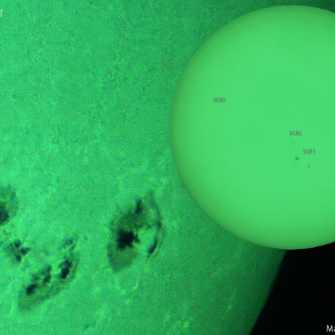 活動領域 3679：2024/05/23