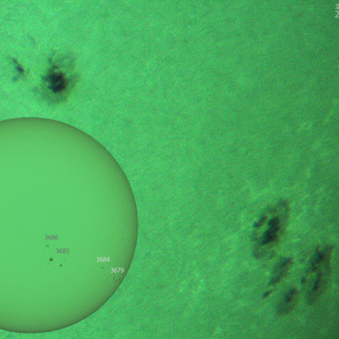 活動領域 3679,3684：2024/05/24