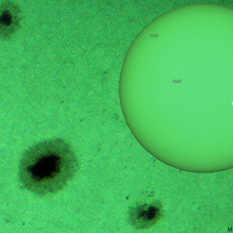 活動領域 3685,3686：2024/05/25