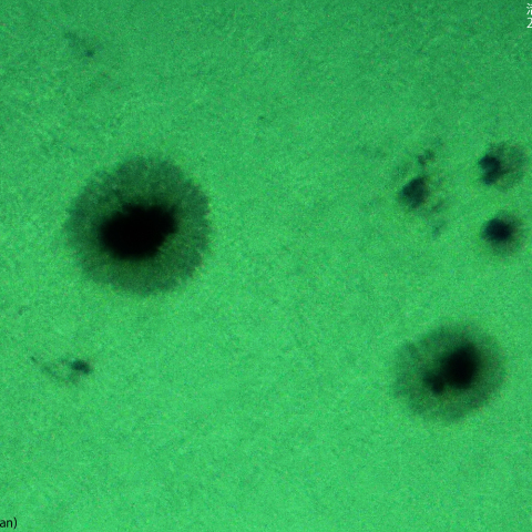 活動領域 3685：2024/05/22