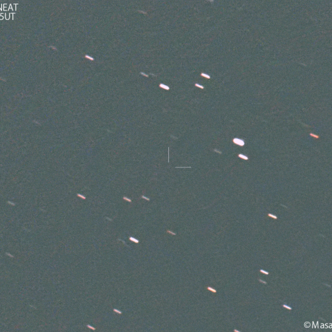 デ・ヴィコ-スイフト-ニート彗星 ( 54P )の予報位置:2024/05/11