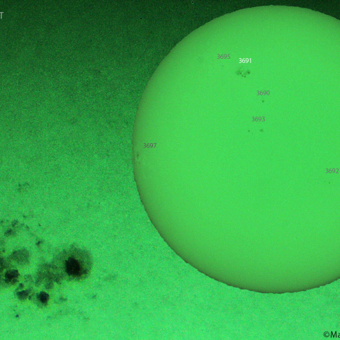 活動領域 3691：2024/05/29