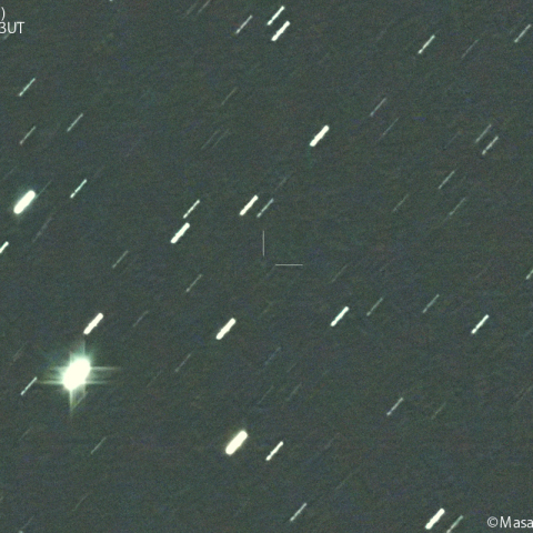 アトラス彗星 ( C/2024C4 )：2024/05/15