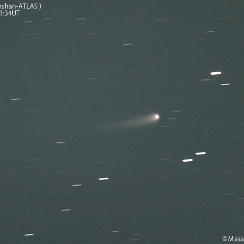 紫金山-アトラス彗星( C/2023A3 )：2024/05/29