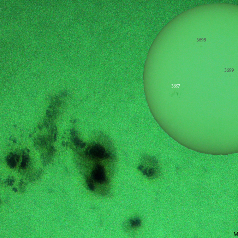 活動領域 3697：2024/06/01