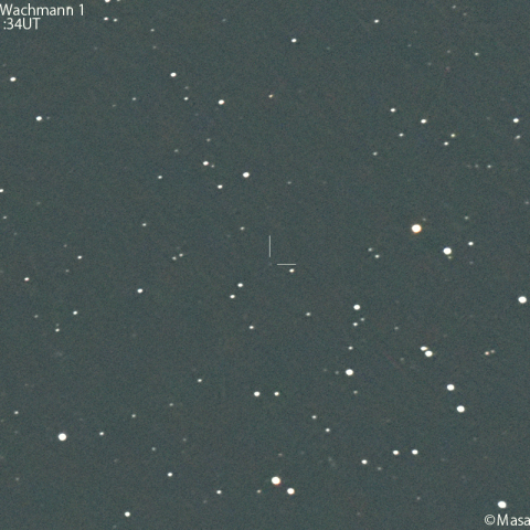 シュヴァスマン-ヴァハマン彗星 ( 29P ) ：2024/05/29