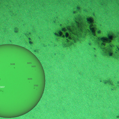 活動領域 3697：2024/06/03