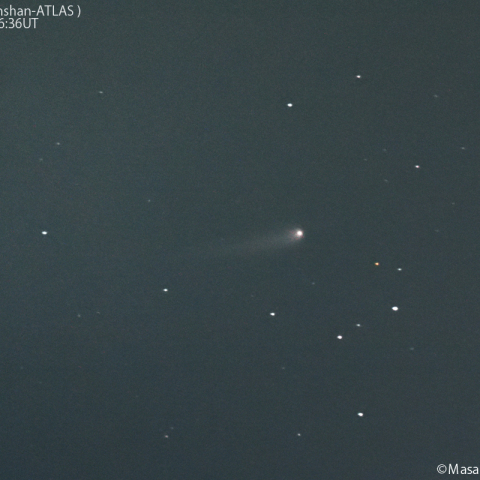 紫金山-アトラス彗星( C/2023A3 )：2024/06/05