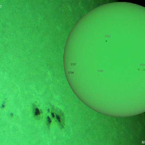 活動領域 3698：2024/06/07