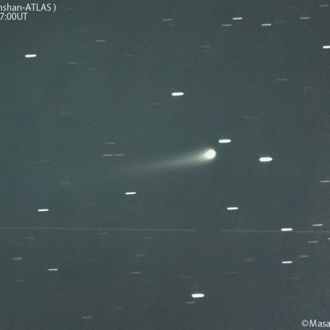 紫金山-アトラス彗星( C/2023A3 )：2024/06/08