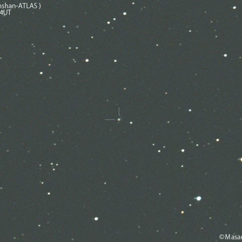 紫金山-アトラス彗星( C/2023A3 )：2024/02/03