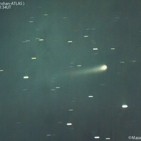 紫金山-アトラス彗星( C/2023A3 )：2024/06/11