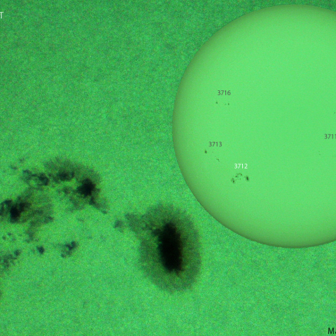 活動領域 3712：2024/06/15