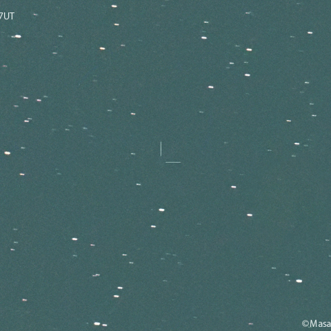 スペースウォッチ彗星(125P):2024/06/12