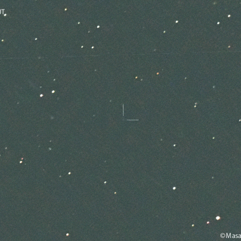 ガン彗星(65P):2024/06/11