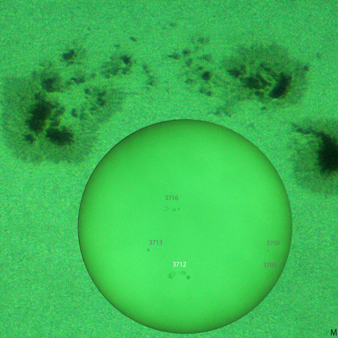 活動領域 3712：2024/06/17