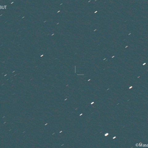 紫金山第1彗星(62P):2024/06/05