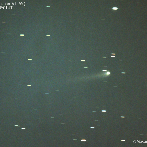 紫金山-アトラス彗星( C/2023A3 )：2024/06/19