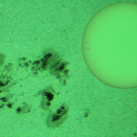 活動領域 3713：2024/06/20