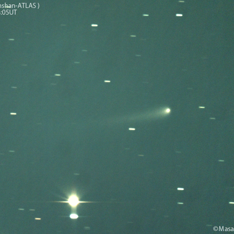紫金山-アトラス彗星( C/2023A3 )：2024/06/21