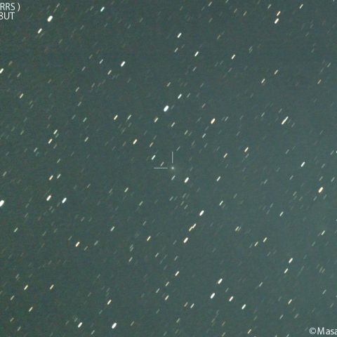 パンスターズ彗星 ( C/2021S3 )：2024/06/19