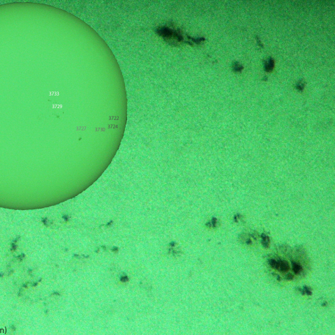 活動領域 3729,3733：2024/07/03