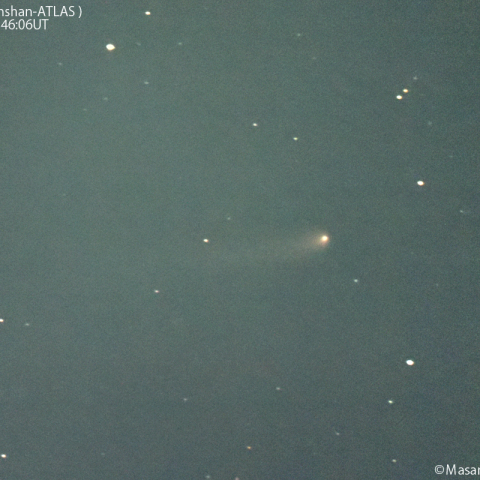 紫金山-アトラス彗星( C/2023A3 )：2024/07/04