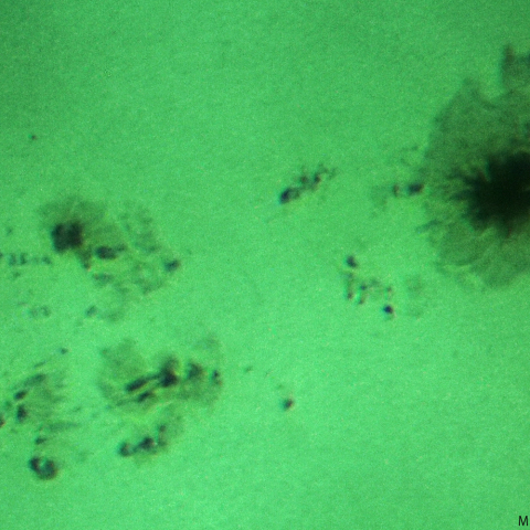 活動領域 3738：2024/07/13