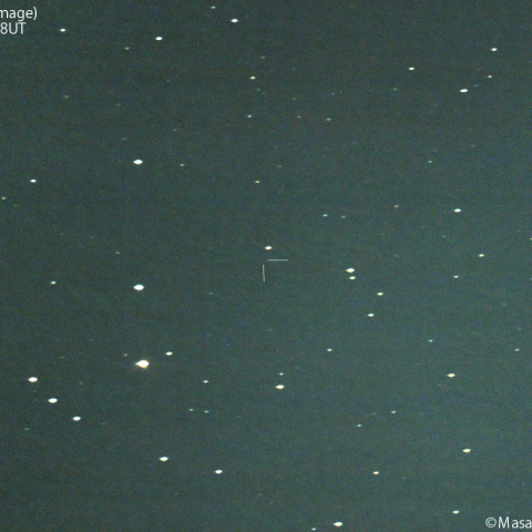 ミュラー彗星( 136P)の予報位置:2024/07/05
