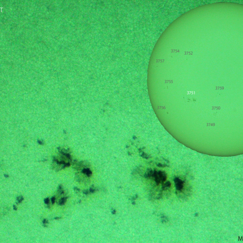 活動領域 3751：2024/07/18